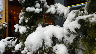 Весной одолеют аномальные морозы, которые будут хлеще зимних: синоптики обнародовали прогноз на март и апрель