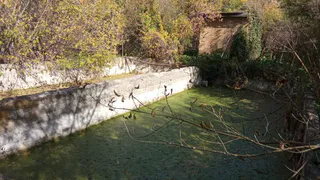 Власти разводят руками: жители ул. Совхоз-техникум в Пензе уже 17 лет дышат тухлым запахом