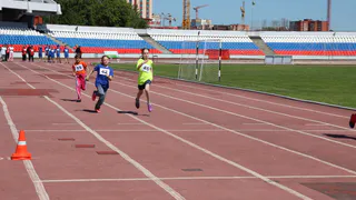 Стадион на миллион: стало известно, во сколько обойдется реконструкция арены ЦСК в Рязани