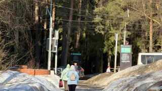 Как относиться к жизни, чтобы дела шли легко и просто: еврейская мудрость - ее запомните раз и навсегда