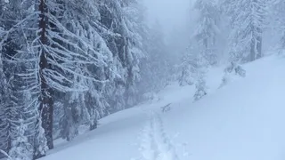 Срочное предупреждение от МЧС и автомобилистов: на Владимир надвигается снежный коллапс