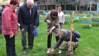 В Рыбном пчеловоды посадили около своего НИИ яблони и груши