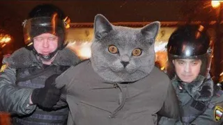 «Комсомолец Брянска» заявил о политических репрессиях на Брянщине