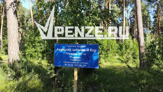 Это небольшая, но победа! Минлесхоз аннулировал торги на вырубку защитных участков под лесозаготовки