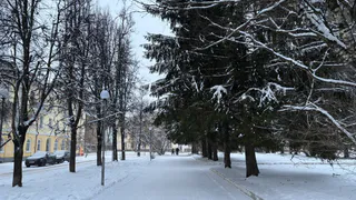Завершающиеся январские праздники в Магнитогорске: ожидается потепление и солнечное Рождество