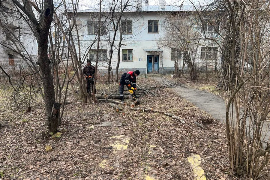 В Чебоксарах службы устраняют опасные зелёные насаждения
