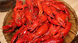 Сильнейший противораковый компонент: Малышева сказала, как надо есть раков, чтобы защитить организм от онкологии