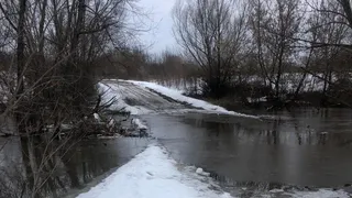 В Рязанской области подтопило низководный мост около деревни Острая Лука