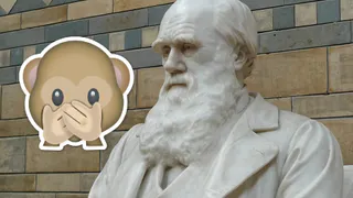 Тест на премию Дарвина: отличите реальный случай от фейка