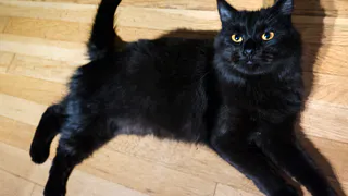 Народные приметы, которые работают чаще, чем кажется: вот о чём предупреждали предки