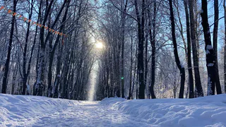 3 декабря в Пензе ожидается снегопад и до -6°C