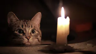 Рязанцев ждет массовое отключение электричества