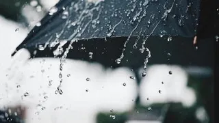 В европейской части России рекордное тепло сменяется ливнями