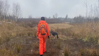 В поисках пропавшего под Рязанью мужчины волонтеры прошли более 110 км