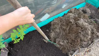 Лучше тонны навоза и стоит всего 31,5 рубля: как приготовить компост из листьев в пакетах всего за 6 месяцев