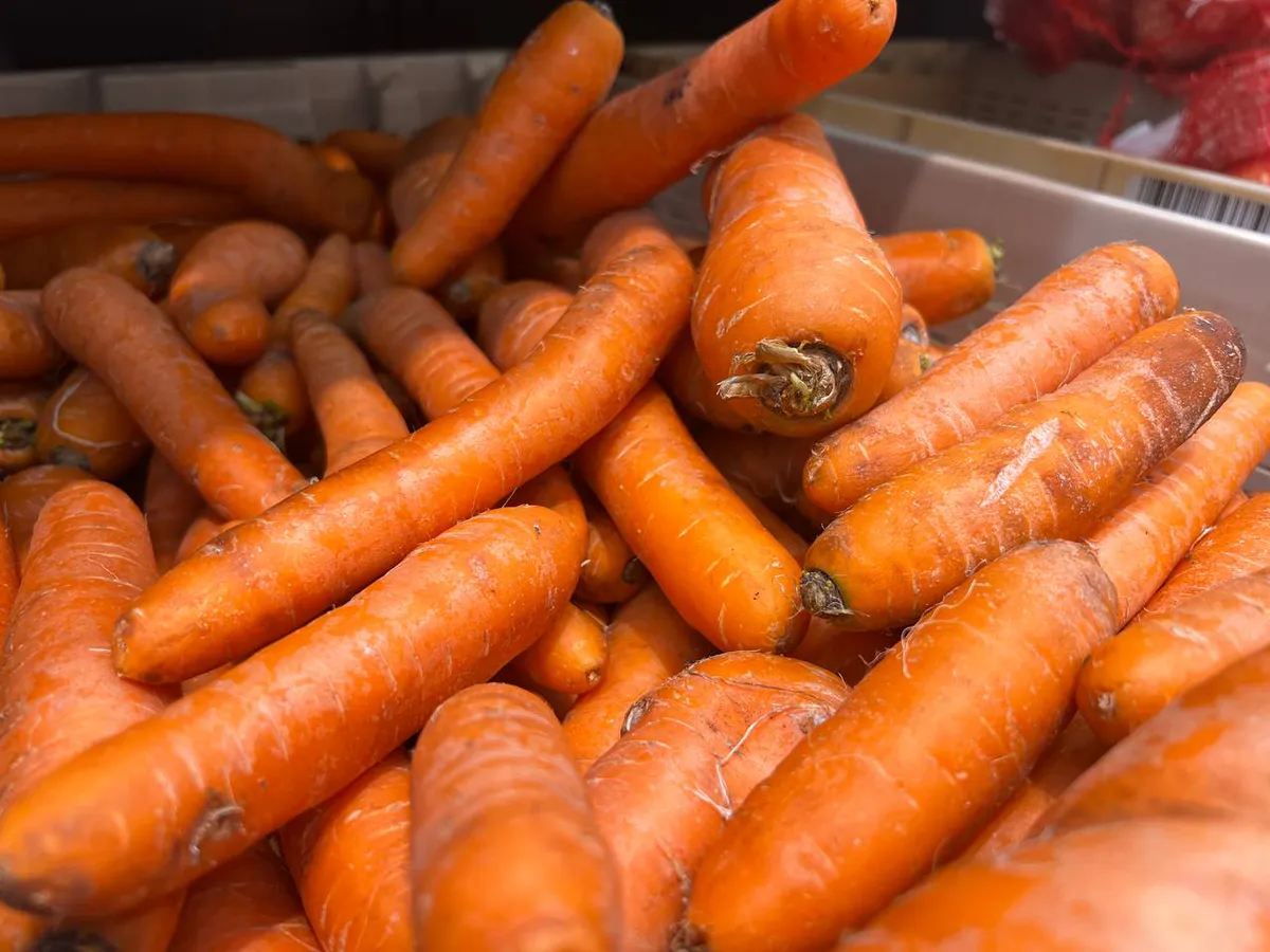 Смешной, но рабочий способ: сажаем морковь только таким образом — всходит ровным строем