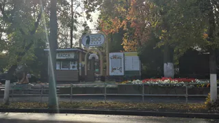 Пеликаны и аисты вышли в летние вольеры в Пензенском зоопарке