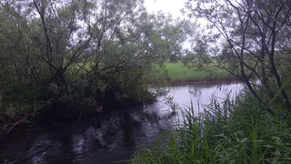 В Усинске суд рассмотрит дело сотрудников нефтяной компании о сокрытии аварии