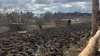 В Рязанской области за заброшенные поля выписали штраф в размере 550000 рублей