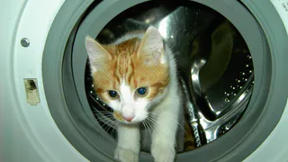 Роскачество назвало лучший стиральный порошок, который выведет любые сложные пятна