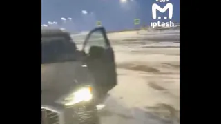 Куропатки на трассе: девушка из Казани на скорости 200 км/ч сбила стаю птиц — две застряли в радиаторе