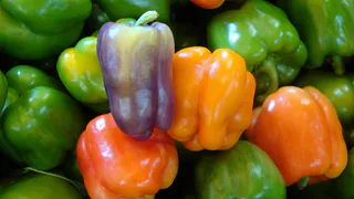 Разводим два пакетика в воде — и перцы прут без остановки: кусты облеплены плодами, как новогодняя ёлка игрушками