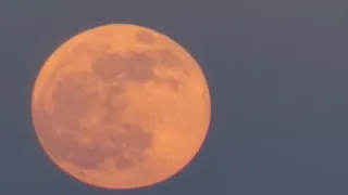Татарстанцы увидят «розовую» Луну 2 апреля