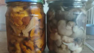 Готовлю обалденные маринованные грибочки на зиму: проверенным годами рецептом делаю по 50 банок –