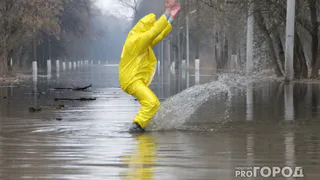 Региональный Роспотребнадзор предупредил о кишечных инфекциях в период "большой воды"