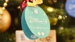 Жители Владимирской области могут исполнить новогодние желания детей, оказавшихся в трудной жизненной ситуации