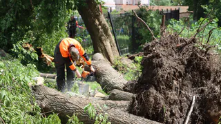 Ночь и день: владимирские коммунальщики убирают город после урагана