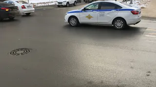 Если найдут это в бардачке — лишат прав на месте: в ГИБДД проведут проверку каждого водителя без исключения