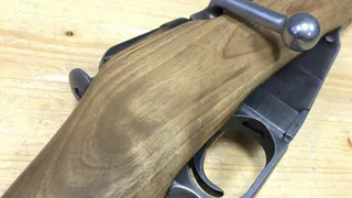 Касимовец сядет за то, что застрелил и расчленил сына