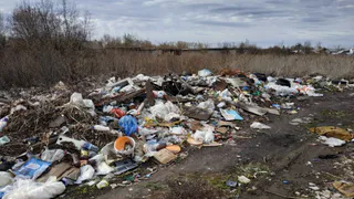 Еще одна куча мусора: в Дягилеве нашли очередную стихийную свалку