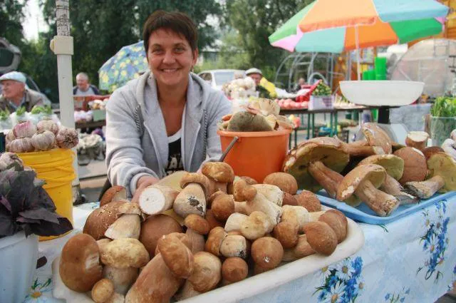 Свежие грибы стоят в три раза дороже мяса