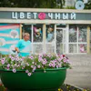 Брянск, готовь куртки: после аномальной жары регион накроет холодный фронт с дождями и сильным ветром