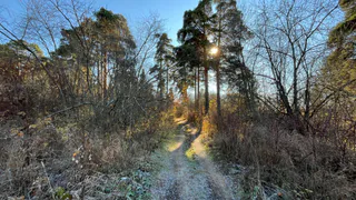 В Рязани исчез 24-летний парень в черной  толстовке 