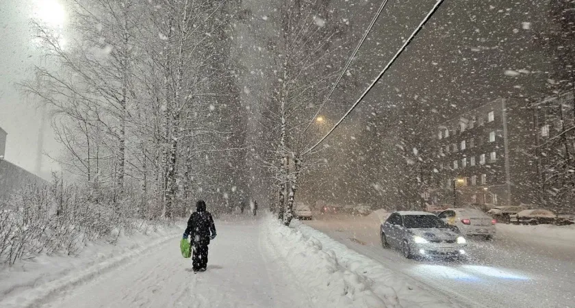 «Информация по январю ужасающая». Синоптики сказали, к чему подготовиться к середине зимы