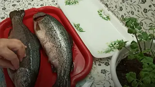 Купил форель из "Светофора" для засолки икры: принес домой, и вот что обнаружил - честный отзыв