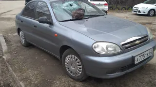 Парковка на газоне: в мэрии признали, что привлечь виновника к ответственности невозможно