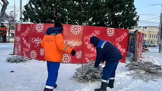 Новогодние елки в Рязани помогают украшать осуждённые