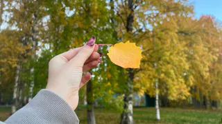 Челябинская область готовится встретить неожиданное осеннее тепло после дождливой недели