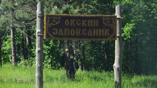 Пожар в Окском заповеднике потушен