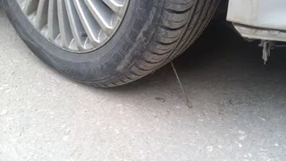 В рязанских дворах хулиганы ставят капканы для машин