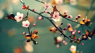 Весна с трудом пробивает себе дорогу