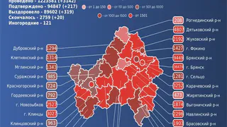 За сутки от коронавируса умерли 20 брянцев