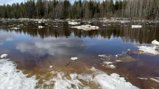 Республика Коми фиксирует резкий подъём воды в Печоре и усиливает контроль за паводковой обстановкой