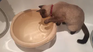 Список адресов: сегодня на пяти улицах Рязани не будет холодной воды