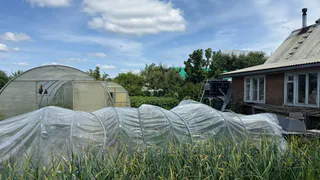 Как правильно подготовить теплицу к холодам: 3 обязательных шага, которые нельзя пропускать