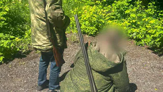 Смерть на охоте: трагичный выстрел прозвучал в Петушинском районе